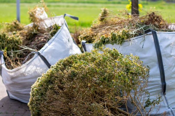 Best Affordable Junk Removal Services  in Vado, NM